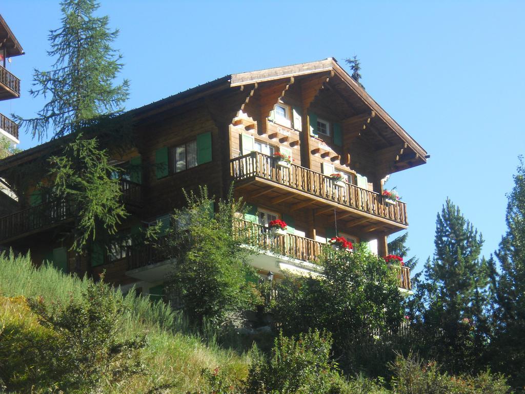 Chalet Kolibri Zermatt Exterior foto